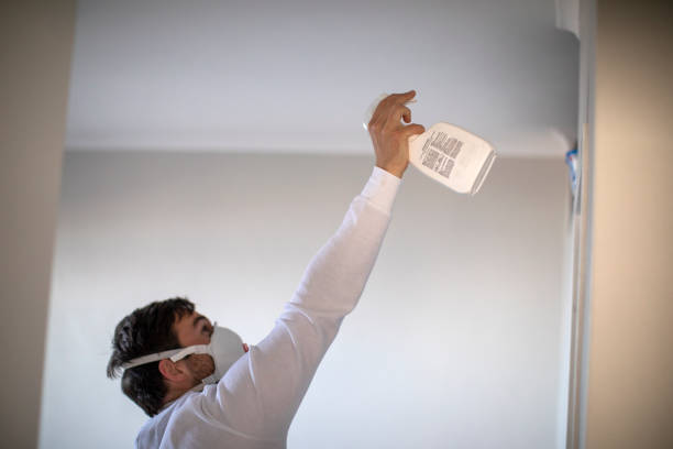 Best Crawl Space Mold Removal  in Woodmere, LA
