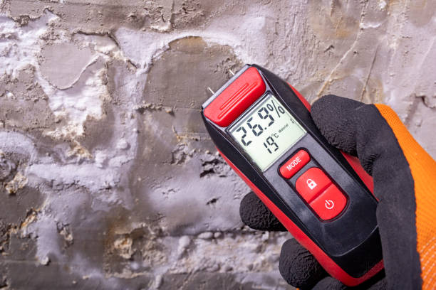 Best Mold Remediation  in Woodmere, LA